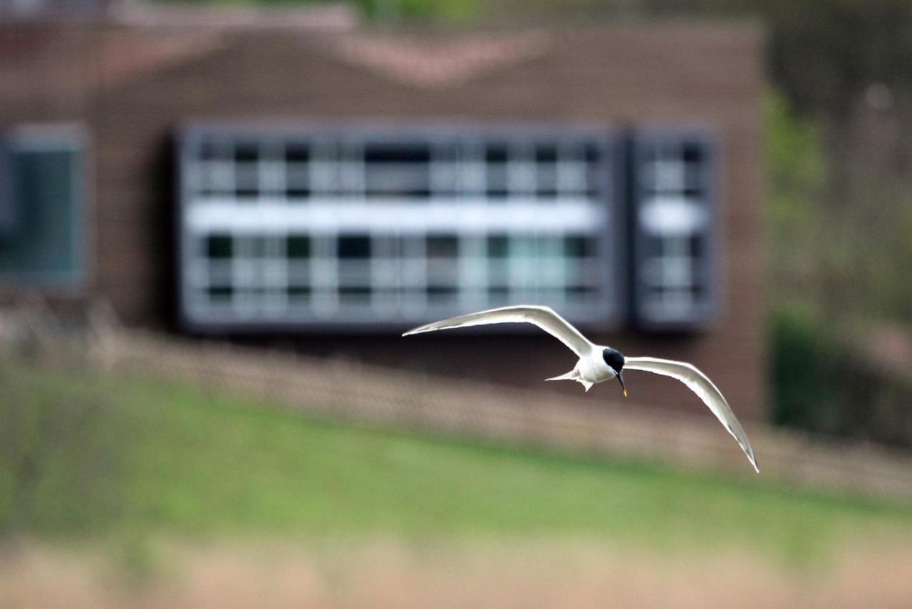 Urdaibai Bird Center Hotel Gautegiz Arteaga Bagian luar foto