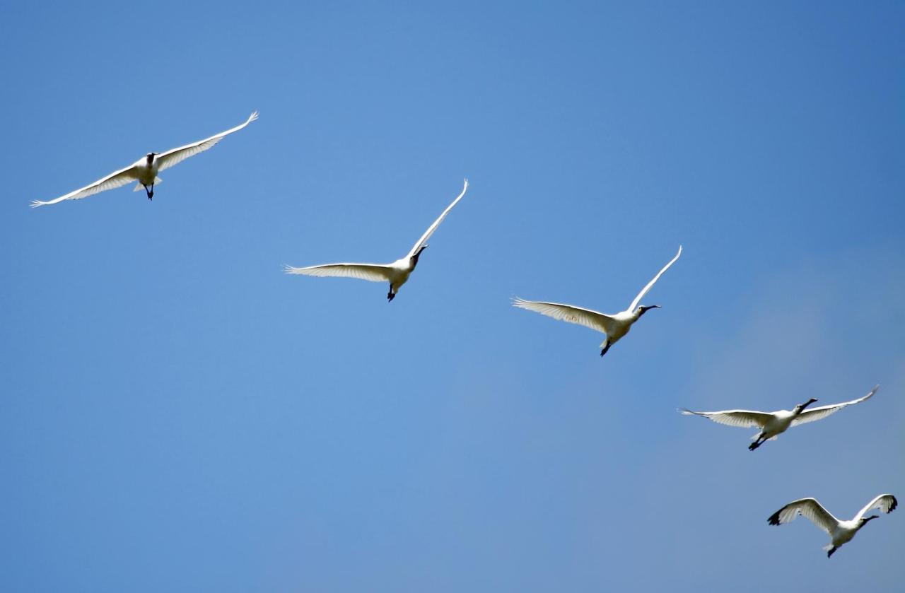 Urdaibai Bird Center Hotel Gautegiz Arteaga Bagian luar foto