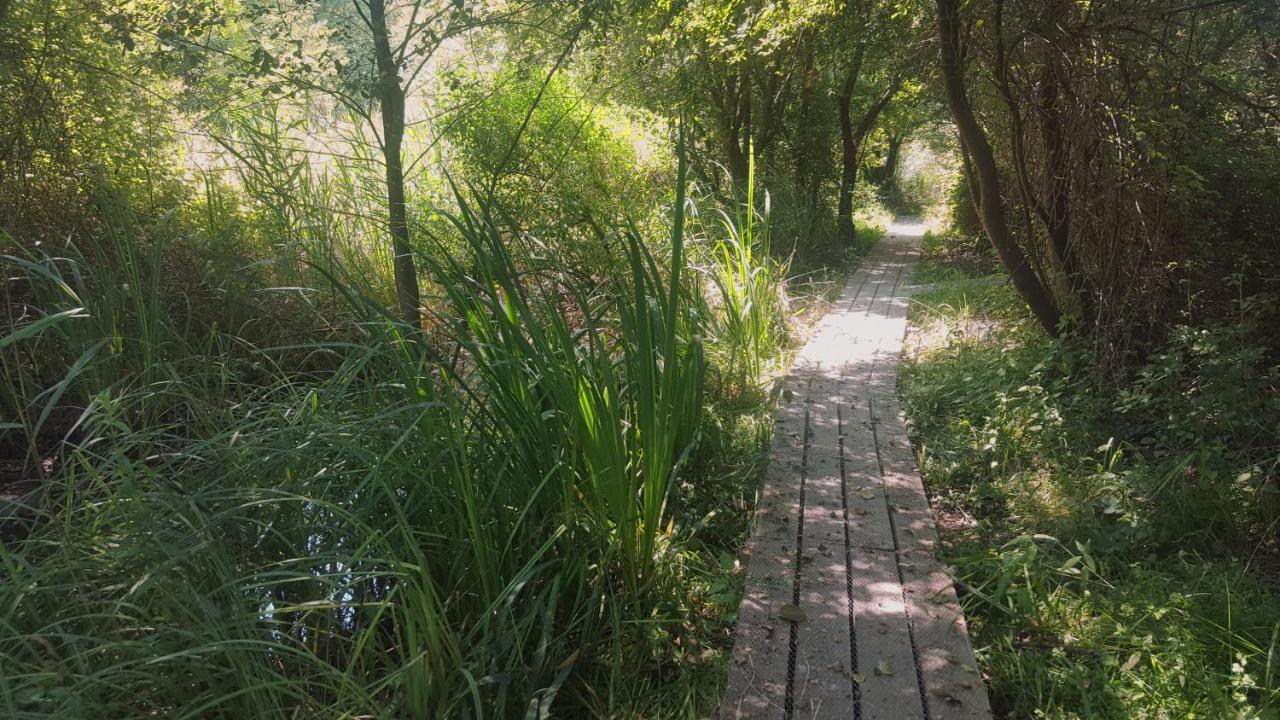 Urdaibai Bird Center Hotel Gautegiz Arteaga Bagian luar foto